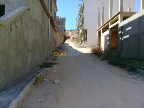 Vente Terrain Relizane Mazouna