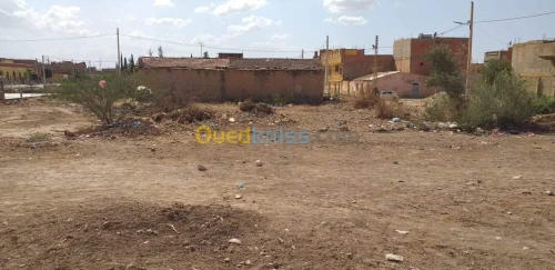 Vente Terrain Mascara Mohammadia