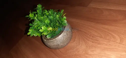 des plantes artificielles artistique 