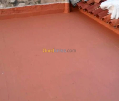 Étanchéité toiture peinture 