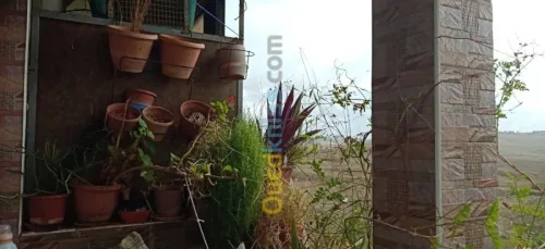 Vente Appartement F4 Alger Ouled fayet