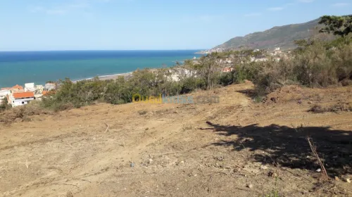Vente Terrain Bejaia Beni ksila