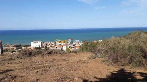 Vente Terrain Bejaia Beni ksila