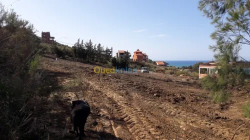 Vente Terrain Bejaia Beni ksila