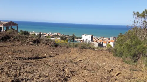 Vente Terrain Bejaia Beni ksila