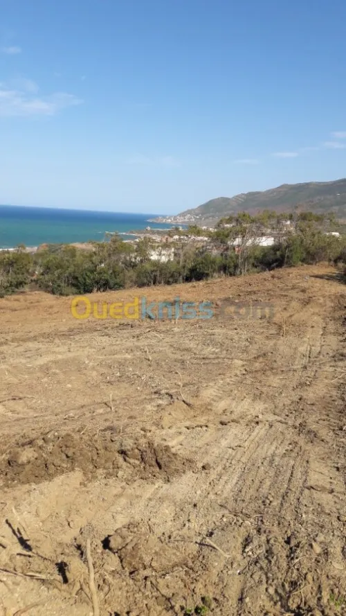 Vente Terrain Bejaia Beni ksila
