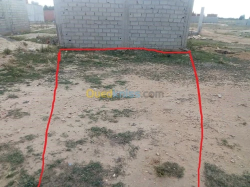 Vente Terrain Tebessa Bekkaria 