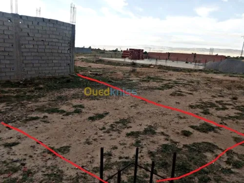 Vente Terrain Tebessa Bekkaria 
