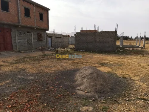 Vente Terrain Tebessa Bekkaria 
