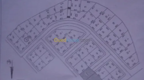 Vente Terrain Tlemcen Bensekrane