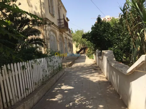 Vente Terrain Oran Oran
