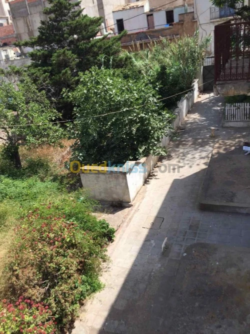Vente Terrain Oran Oran