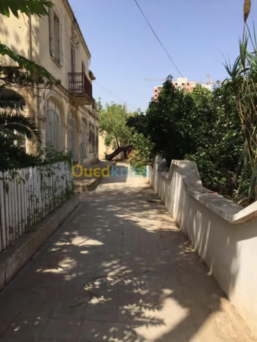 Vente Terrain Oran Oran