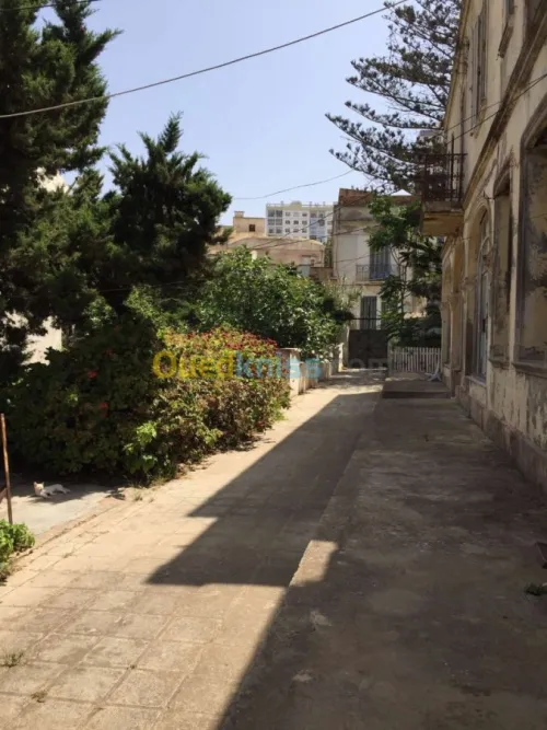 Vente Terrain Oran Oran