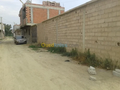 Vente Terrain Blida Ben khellil