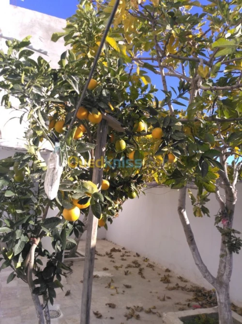 Vente Villa Bordj bou arreridj Teniet en nasr
