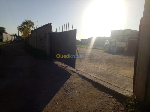 Vente Terrain Alger Reghaia
