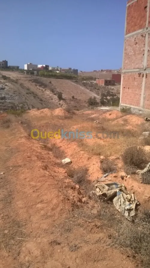 Vente Terrain Tlemcen Souk tlata
