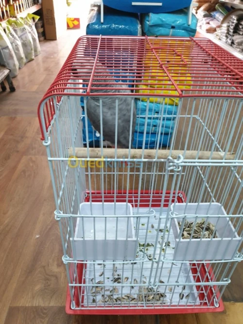 Cage perroquet