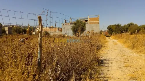 Vente Terrain Tlemcen Tlemcen