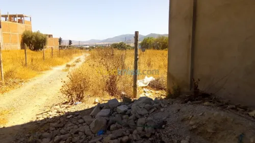 Vente Terrain Tlemcen Tlemcen