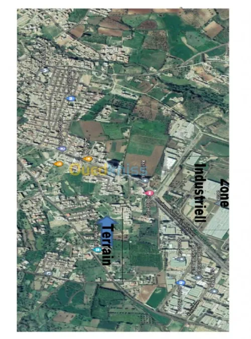 Vente Terrain Tlemcen Tlemcen