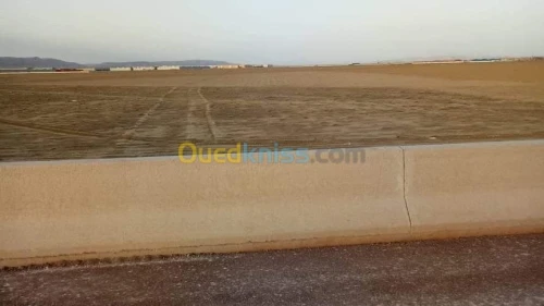 Vente Terrain Agricole Relizane Relizane