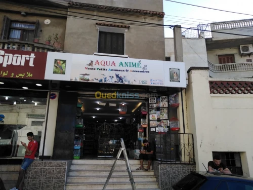 Habillage vitrine et panneaux (pub) 