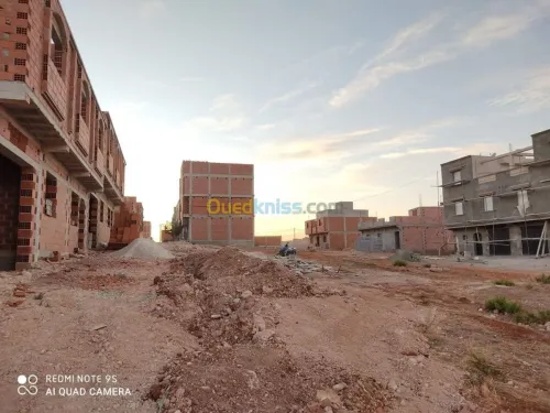 Vente Carcasse Tlemcen Souk tlata