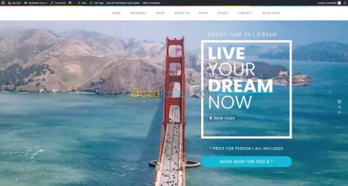 Creation Site Web Professionnel 