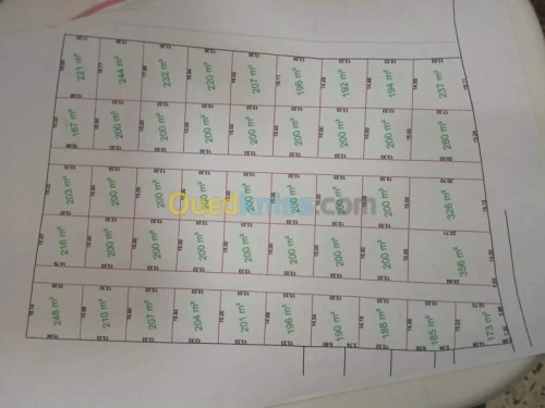 Vente Terrain Boumerdes Larbatache