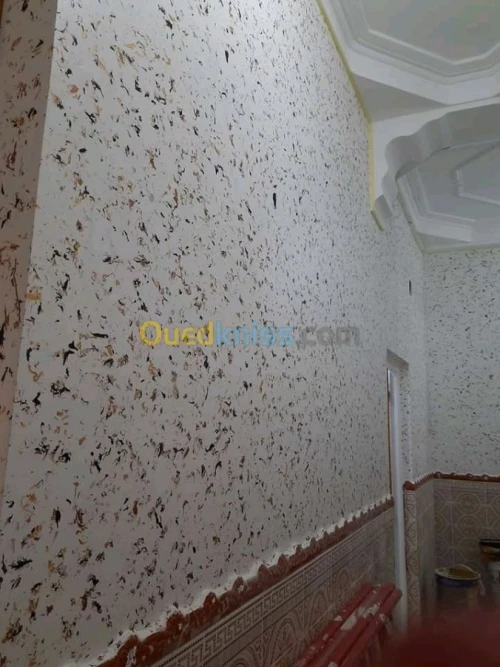 Peintre صباغ intérieur extérieur 