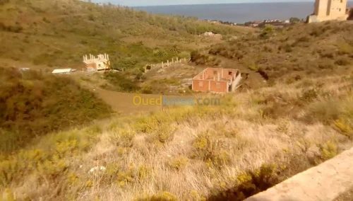 Vente Terrain Tizi ouzou Azeffoun