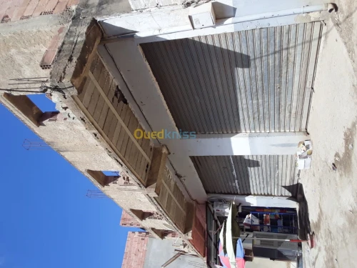 Vente Villa Ain defla Djendel