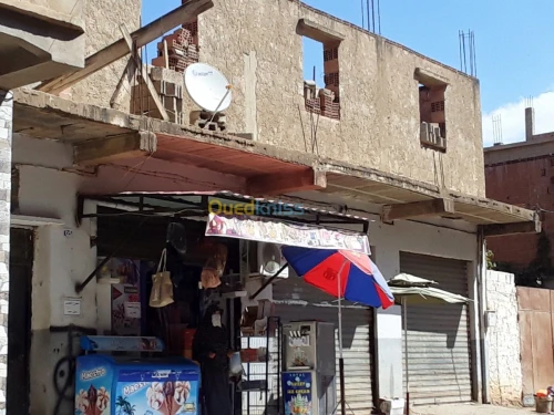 Vente Villa Ain defla Djendel