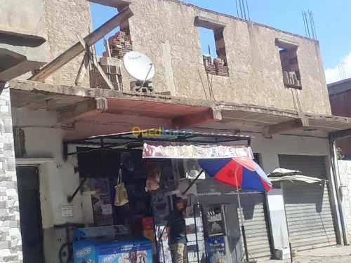 Vente Villa Ain defla Djendel
