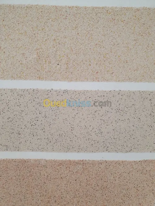 Fabrication de Peinture en Batiment