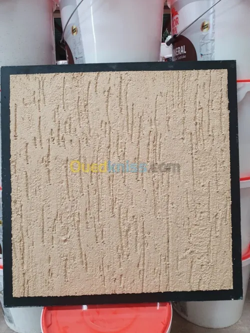 Fabrication de Peinture en Batiment