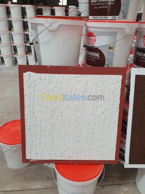 Fabrication de Peinture en Batiment