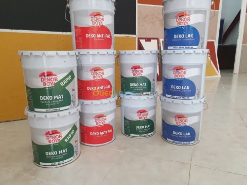 Fabrication de Peinture en Batiment