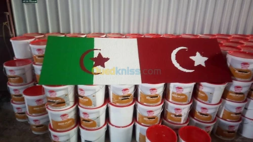 Fabrication de Peinture en Batiment