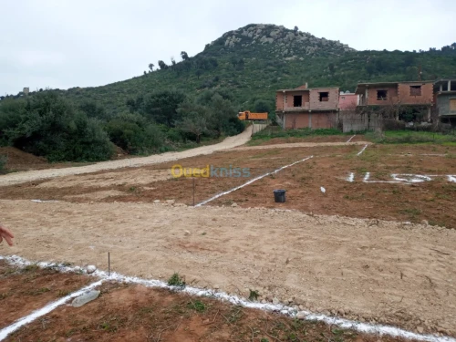 Vente Terrain Boumerdes Bouzegza keddara
