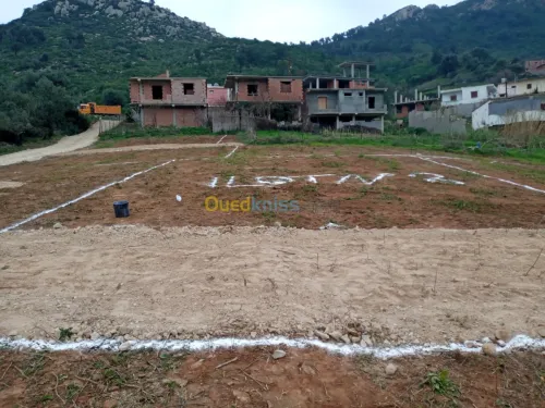Vente Terrain Boumerdes Bouzegza keddara