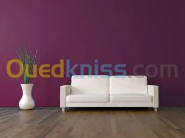 peinture professionnelle
