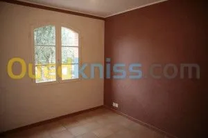 peinture professionnelle