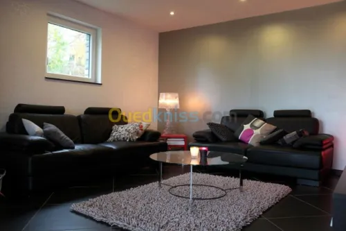 peinture professionnelle