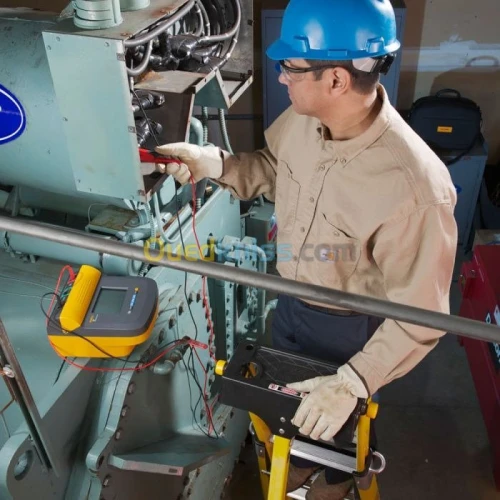 FLUKE 1555 Testeur D'isolement - FLUKE