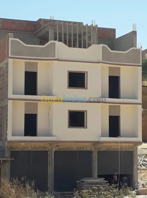 Peinture Des Facades Monocouche