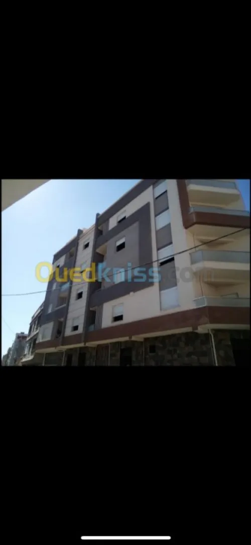 Peinture Des Facades Monocouche