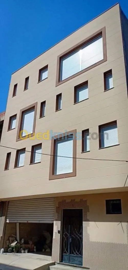 Peinture Des Facades Monocouche